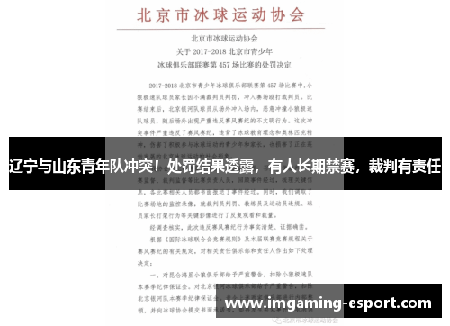 辽宁与山东青年队冲突！处罚结果透露，有人长期禁赛，裁判有责任